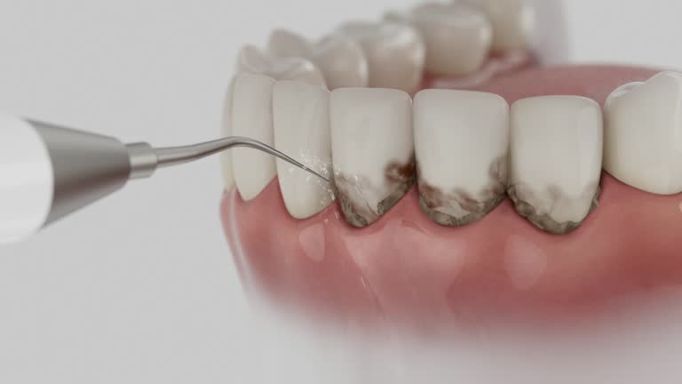 Reliable Dental contractor in Toluca, IL by Dentist Open Now